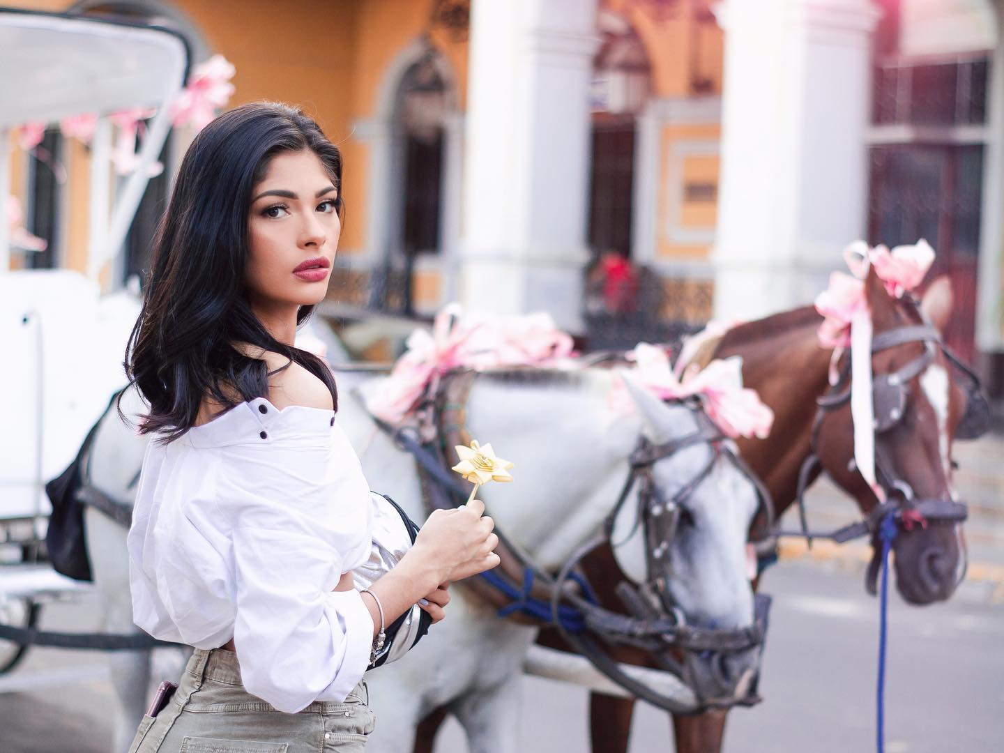 142194097 256998802453624 7638673711329173399 n