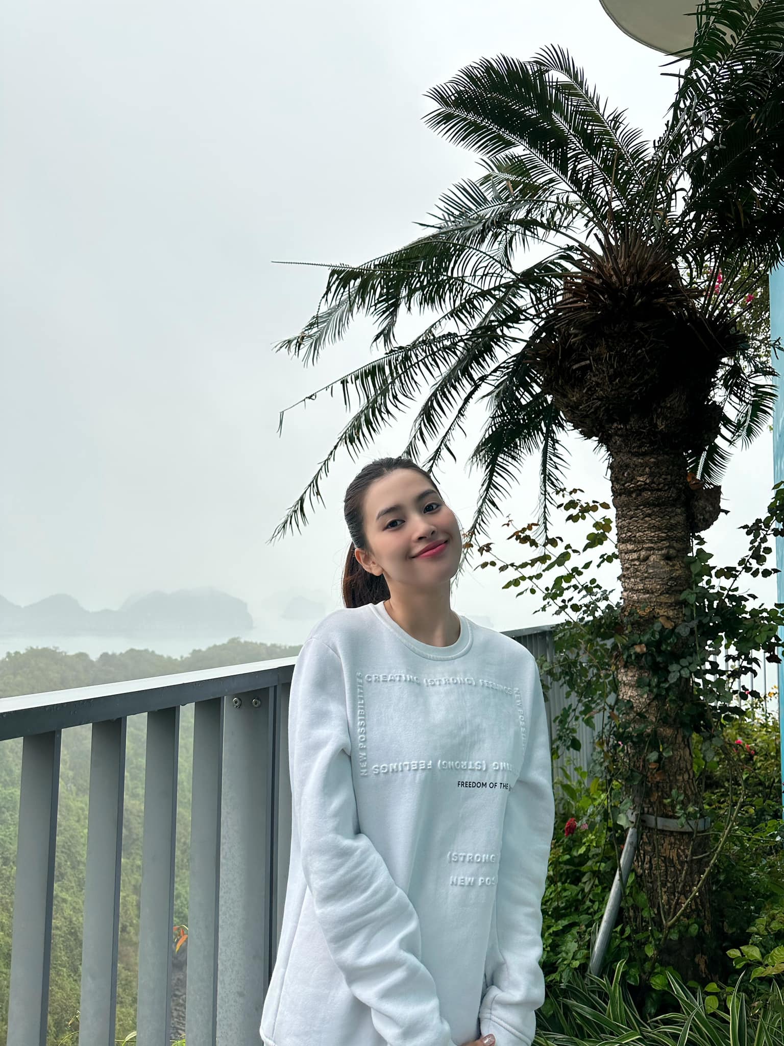 340114164 577991634109127 2059405600016606559 n