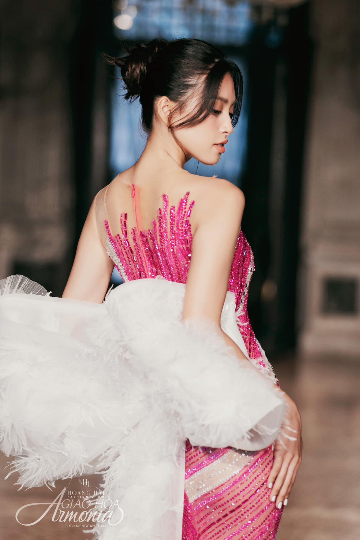 355086532 802040577954620 769719640060103218 n