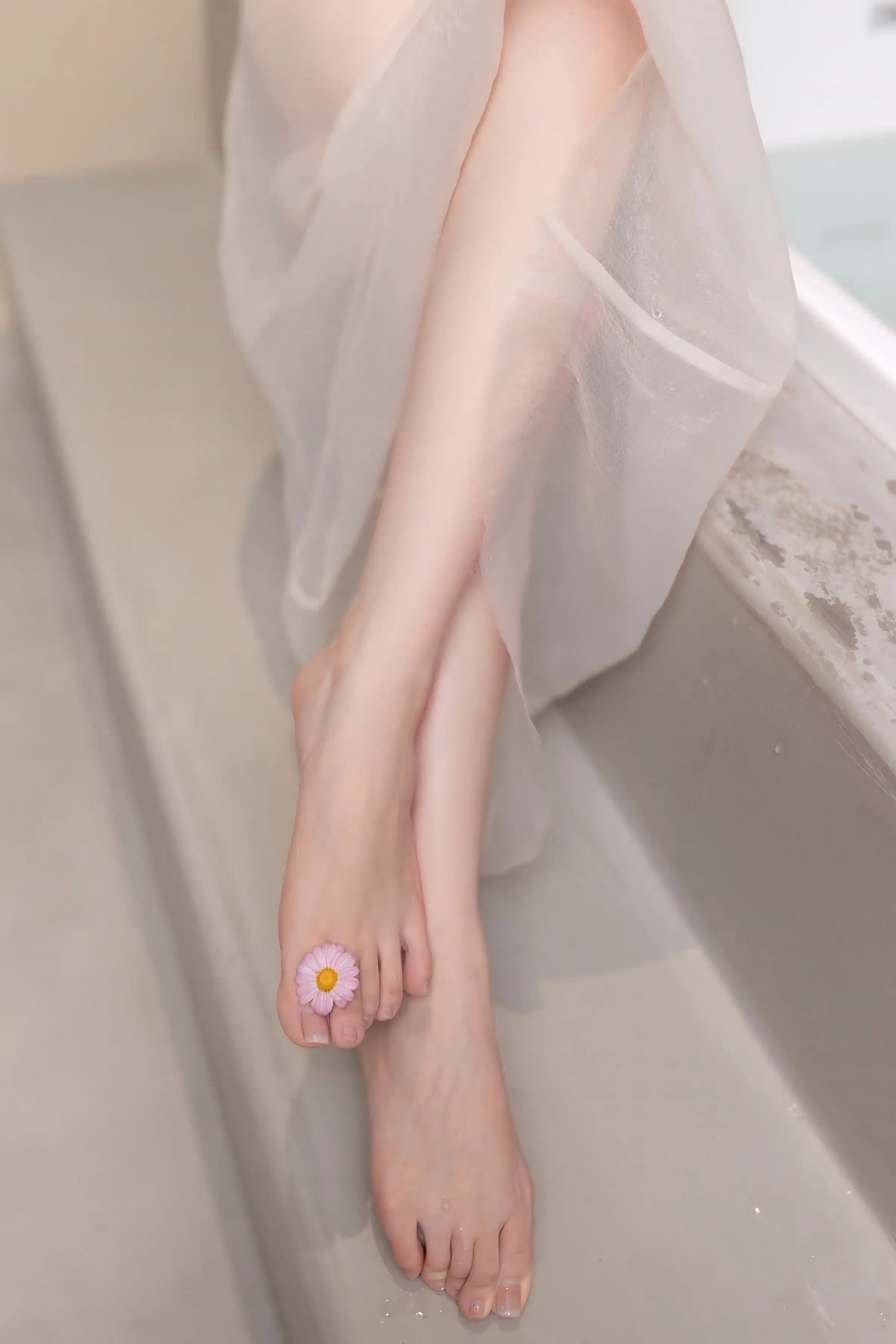Chu Anh Tú