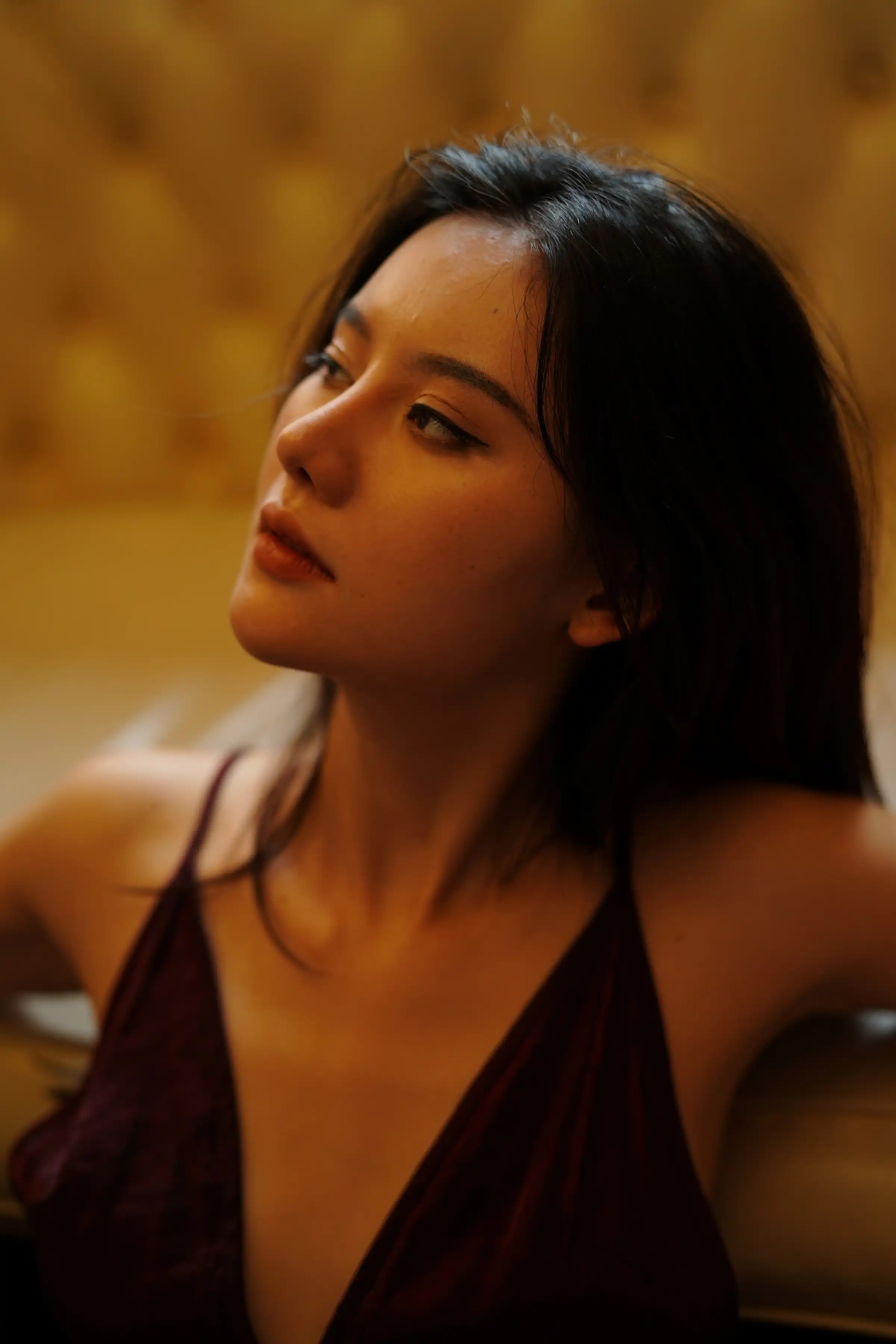 Chu Liễu Phong