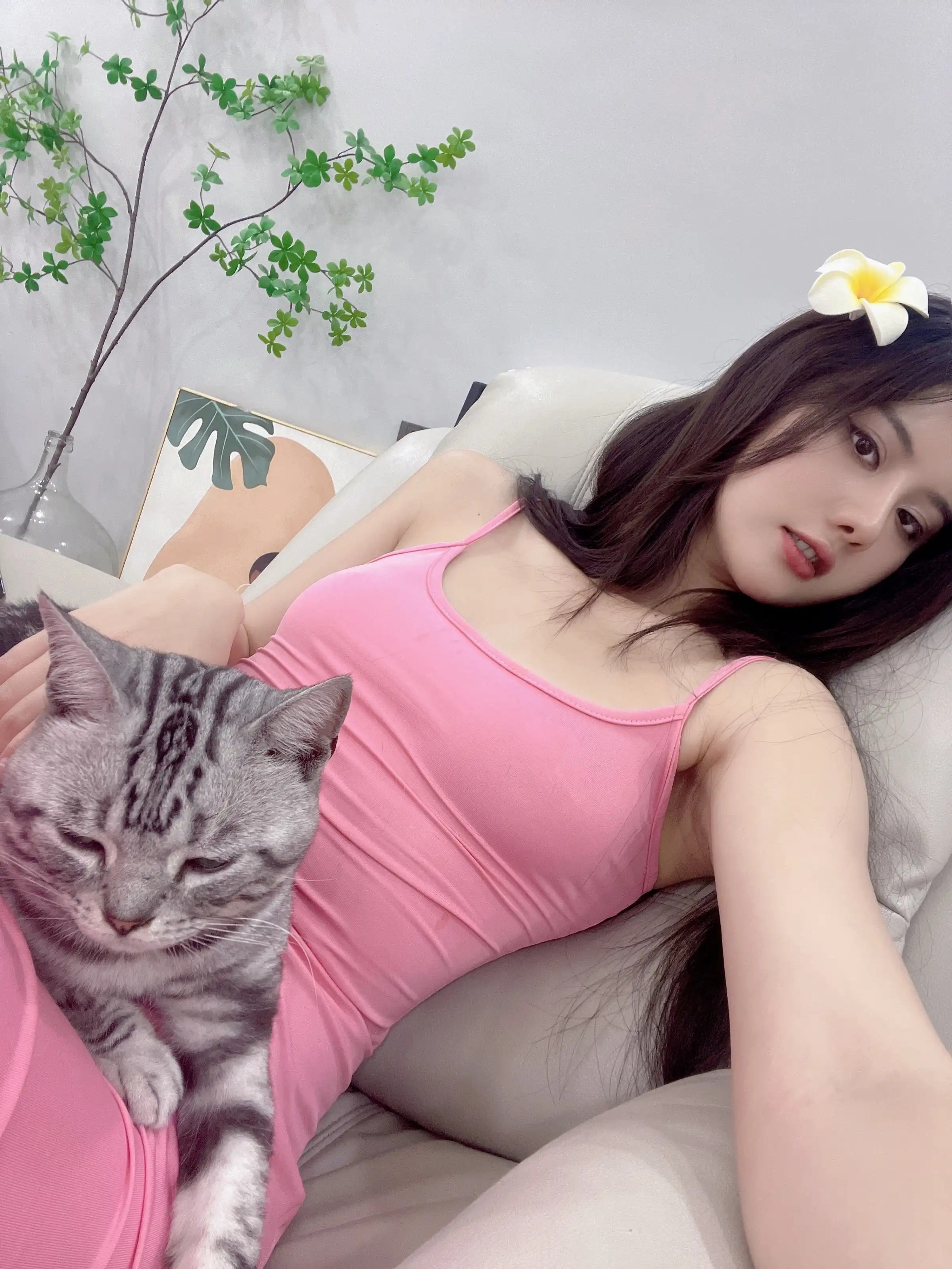 Chu Sa Tước