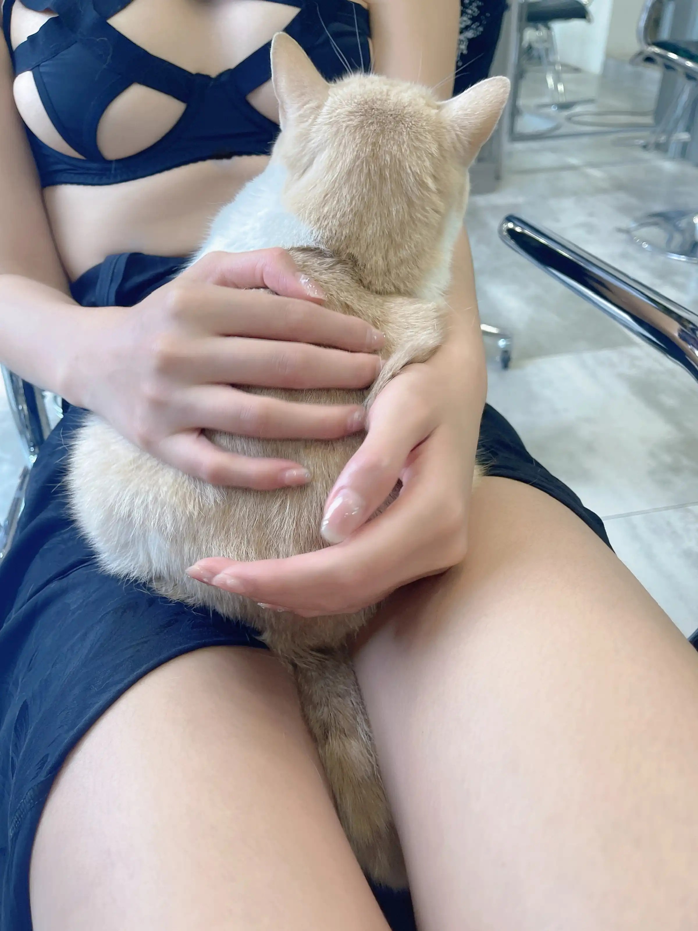 Diệp Ái Vân