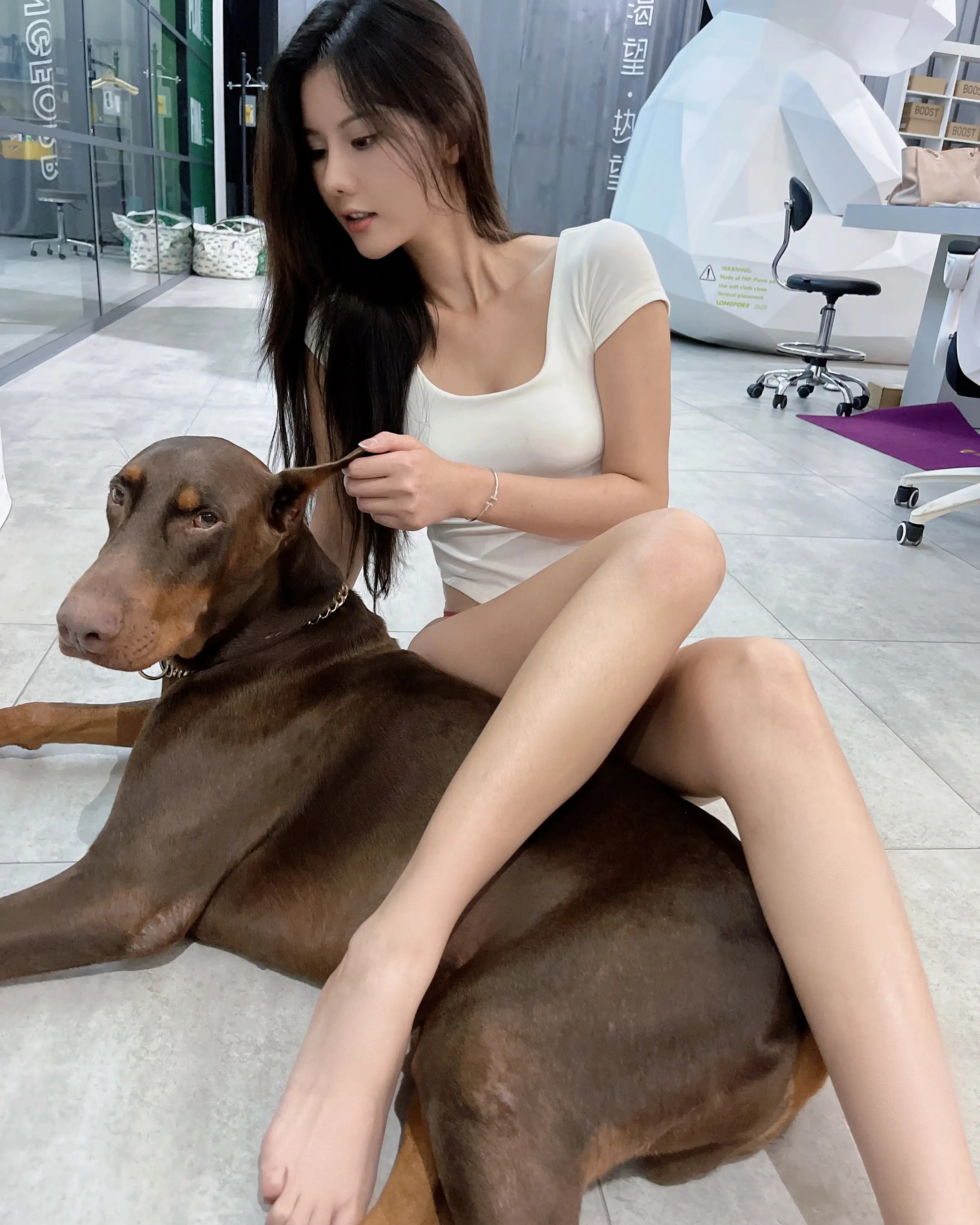 Diệp Anh Vũ