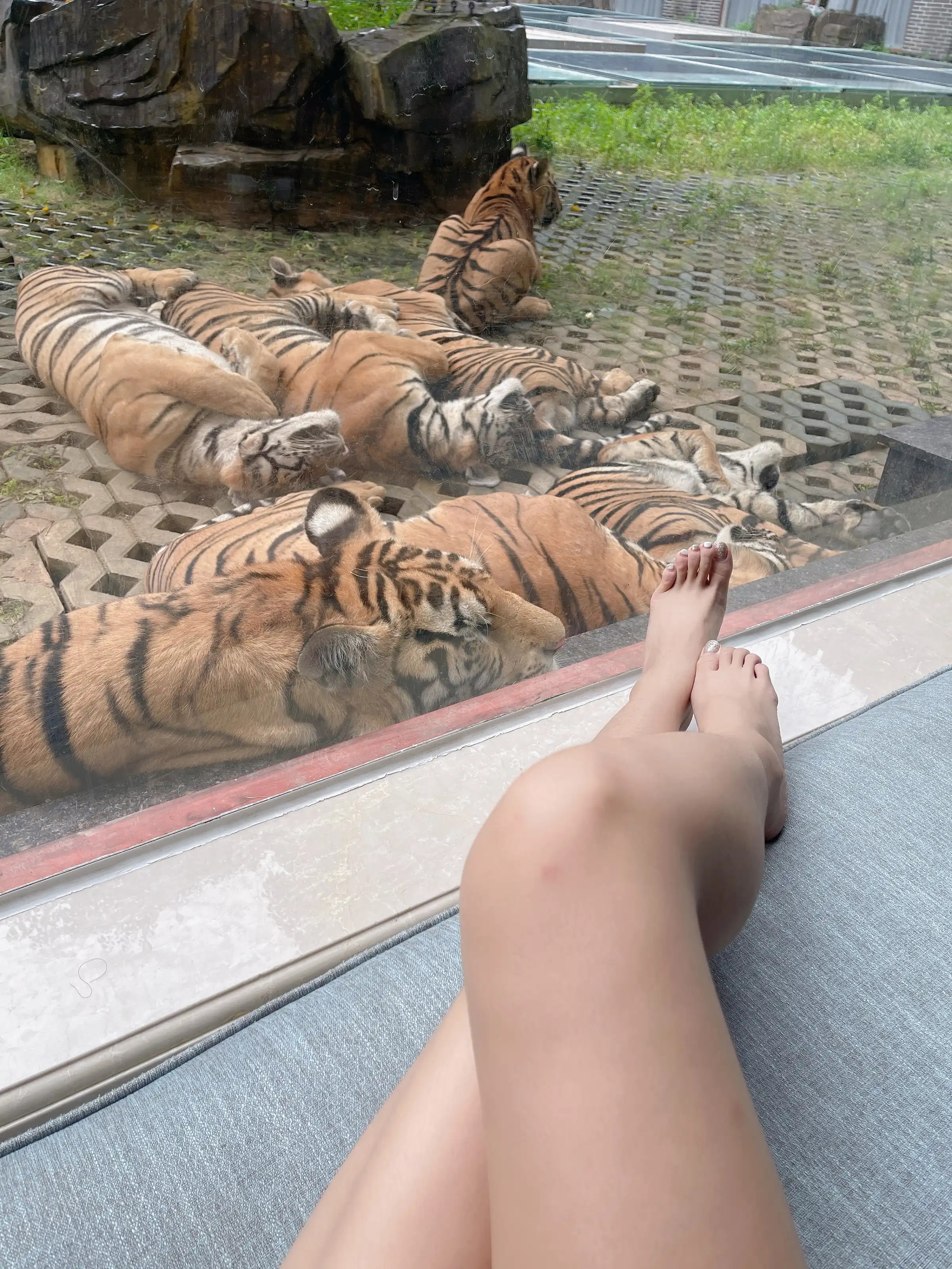 Diệp Ngân Bích