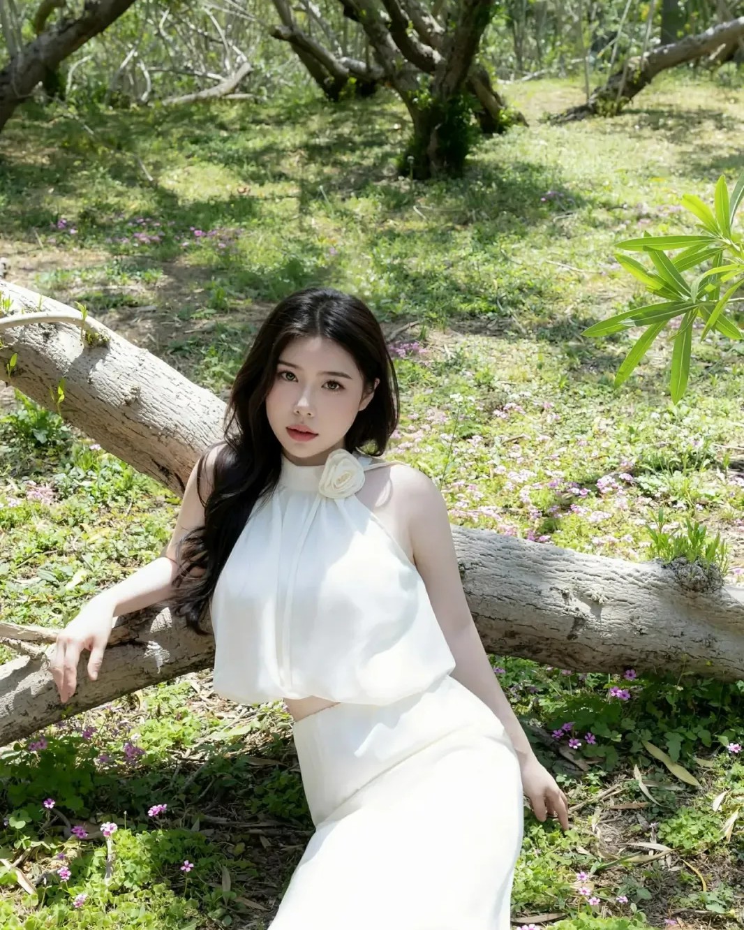 Dương Bách Hợp