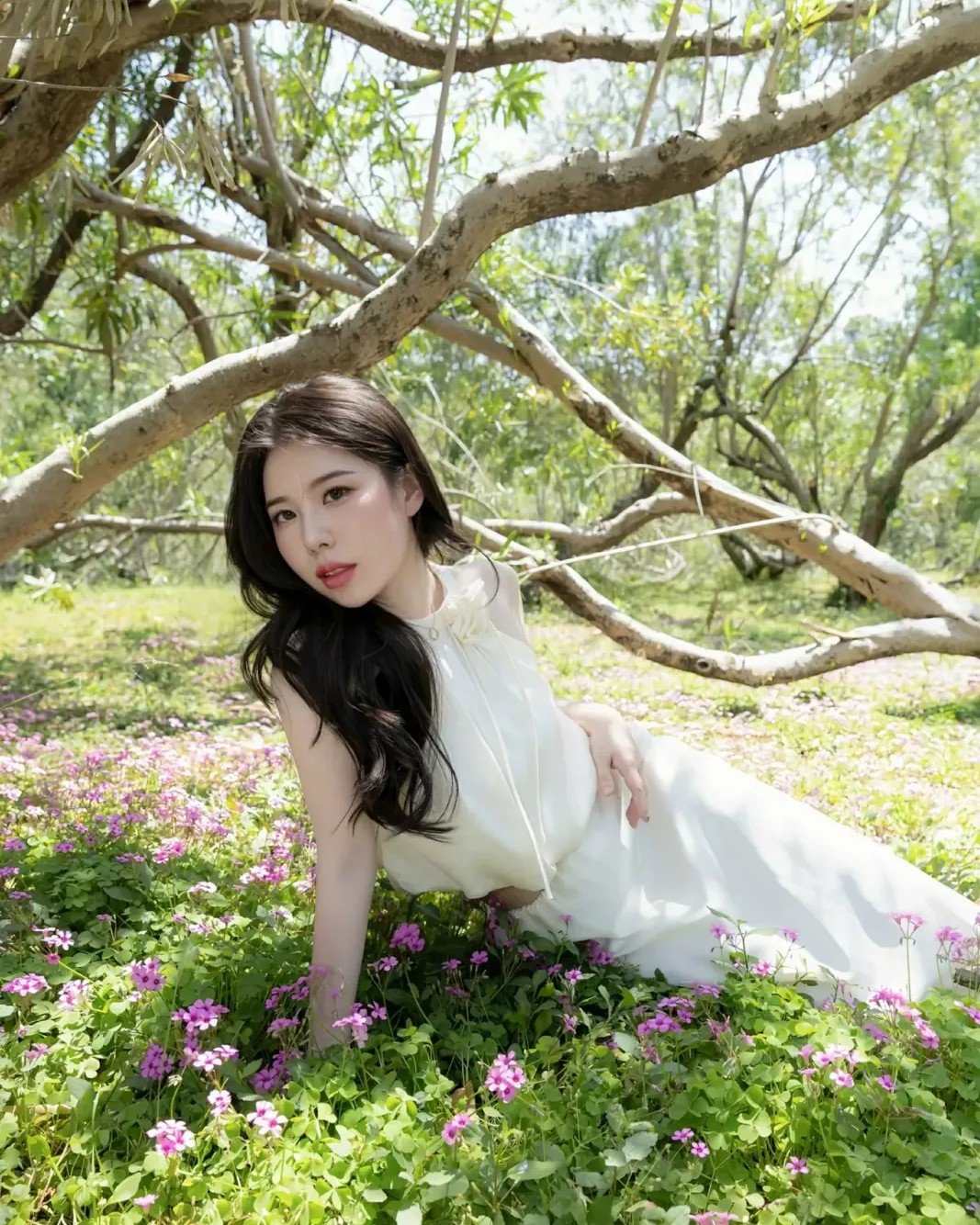 Dương Bách Hợp