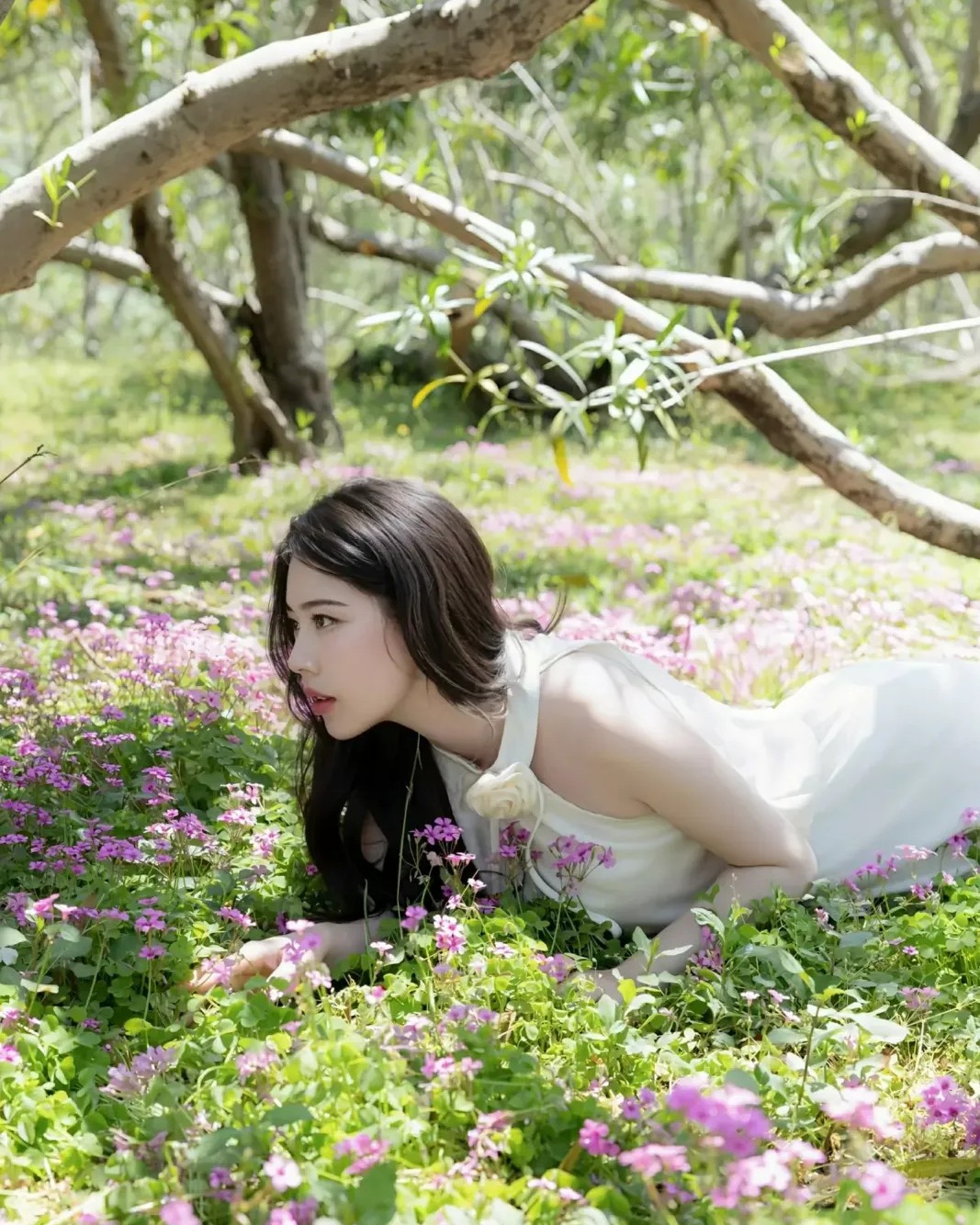Dương Bách Hợp