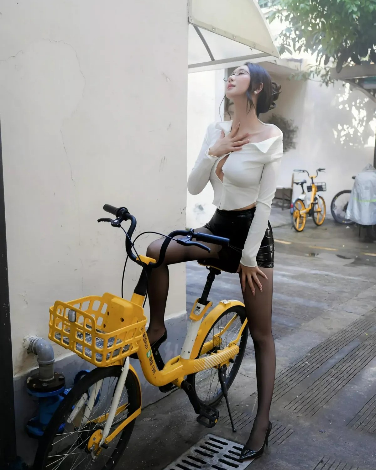 Hứa Tinh Kỳ