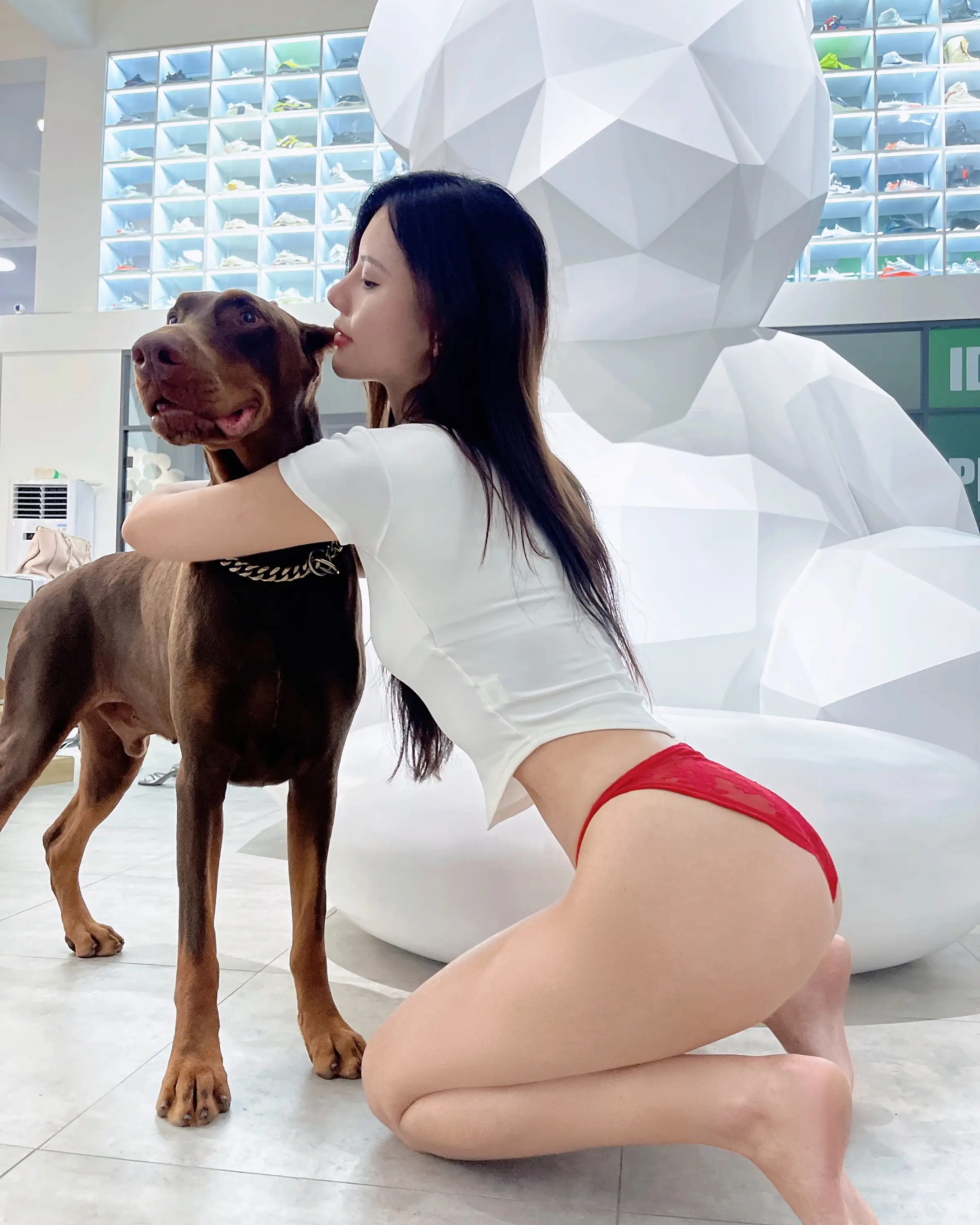 Lục Chu Tước