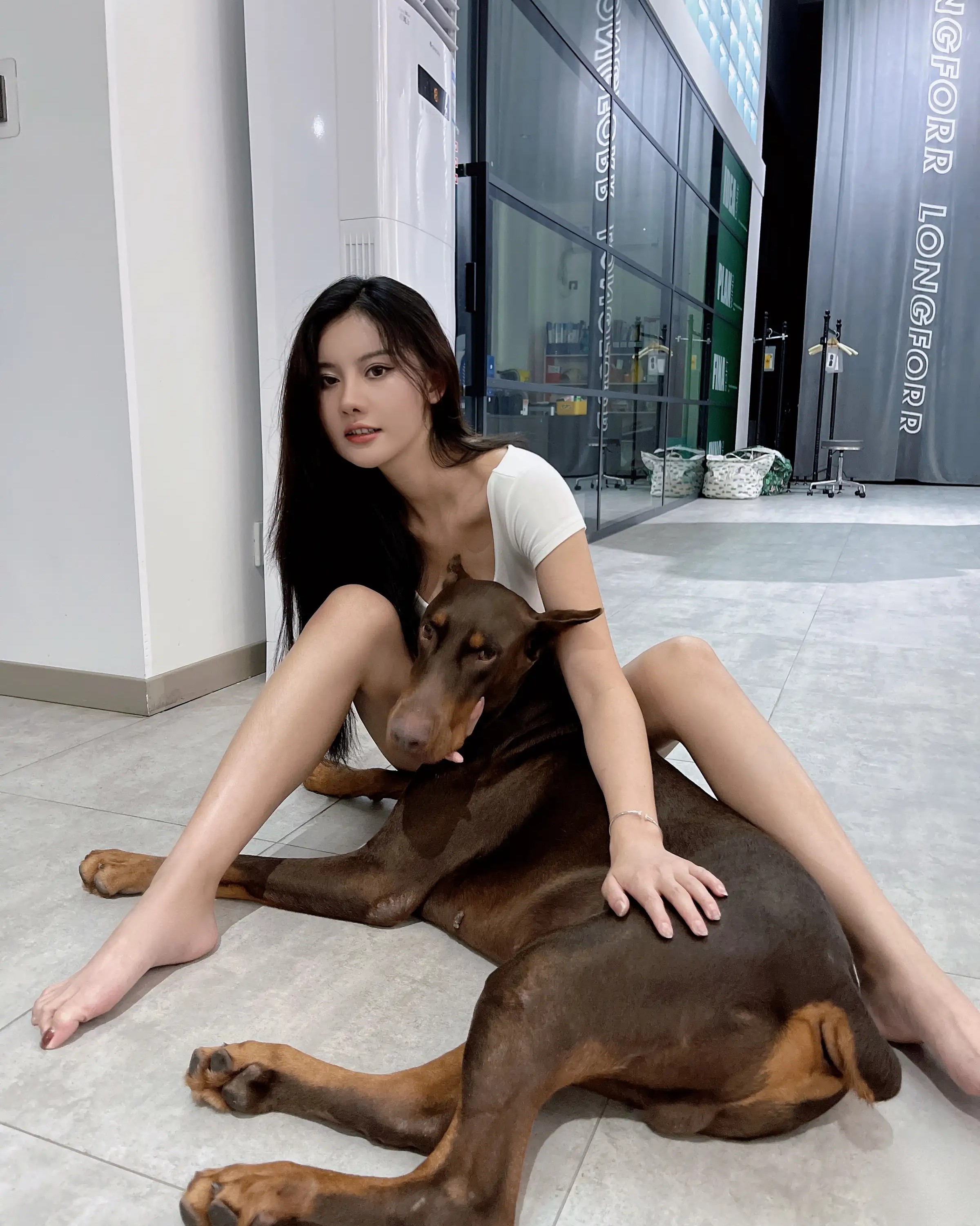 Lục Chu Tước