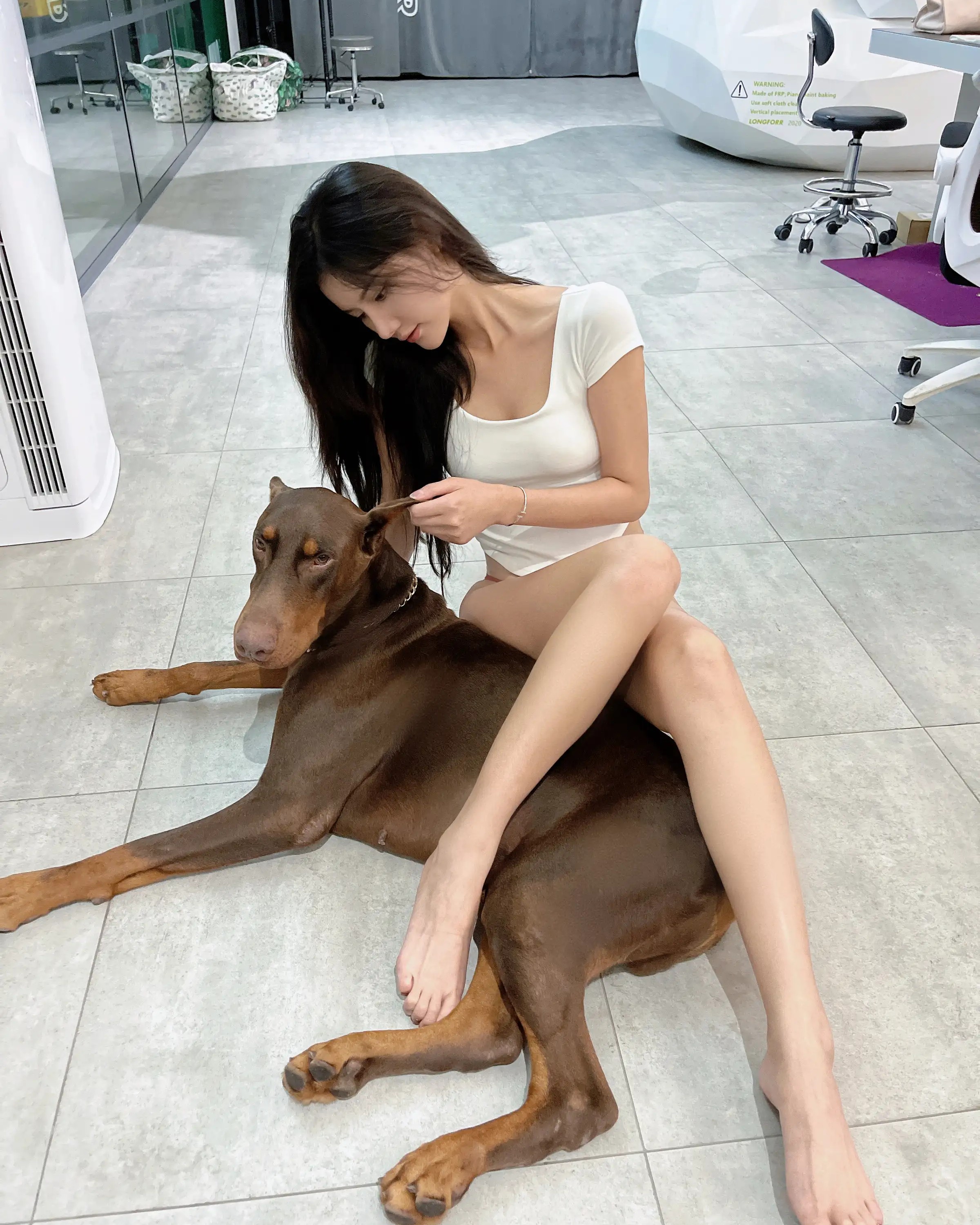 Lục Chu Tước
