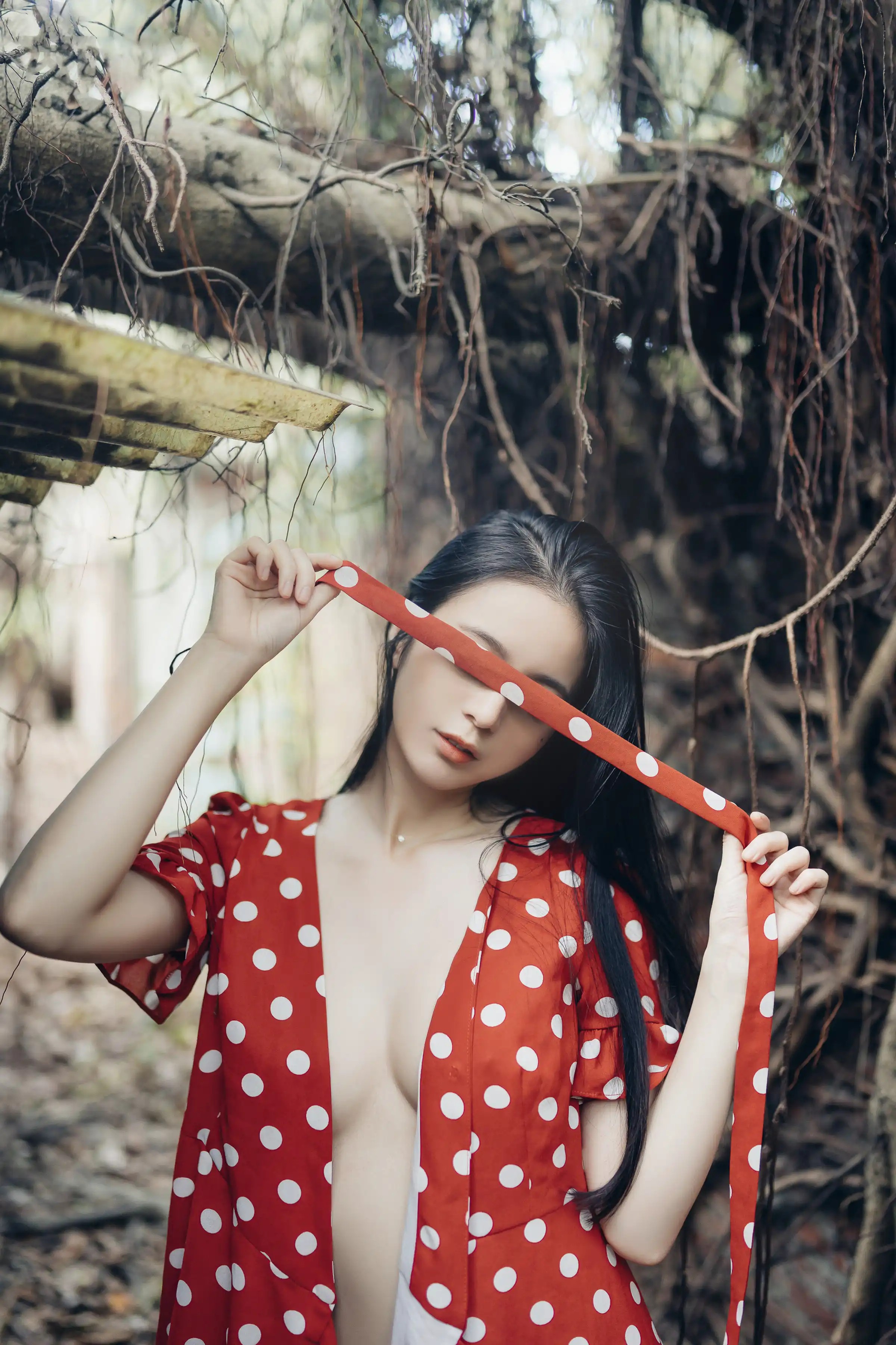 Lý Diệp Hồng