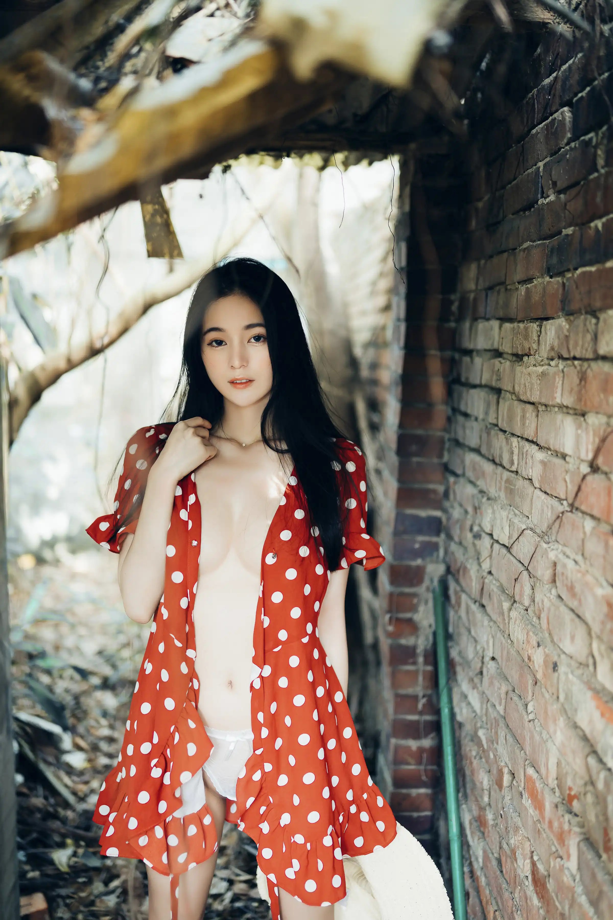 Lý Diệp Hồng