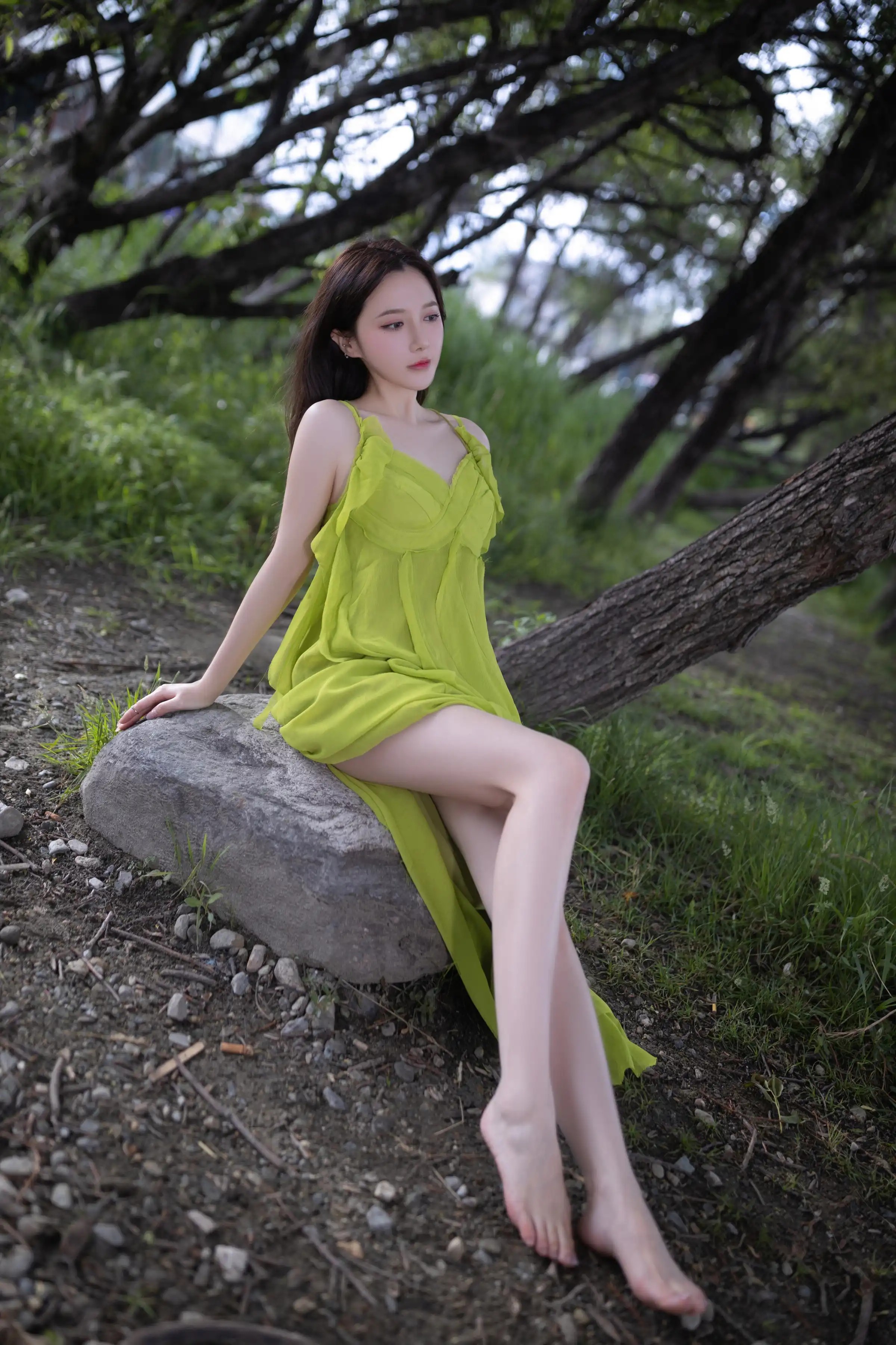 Lý Tiểu Phụng