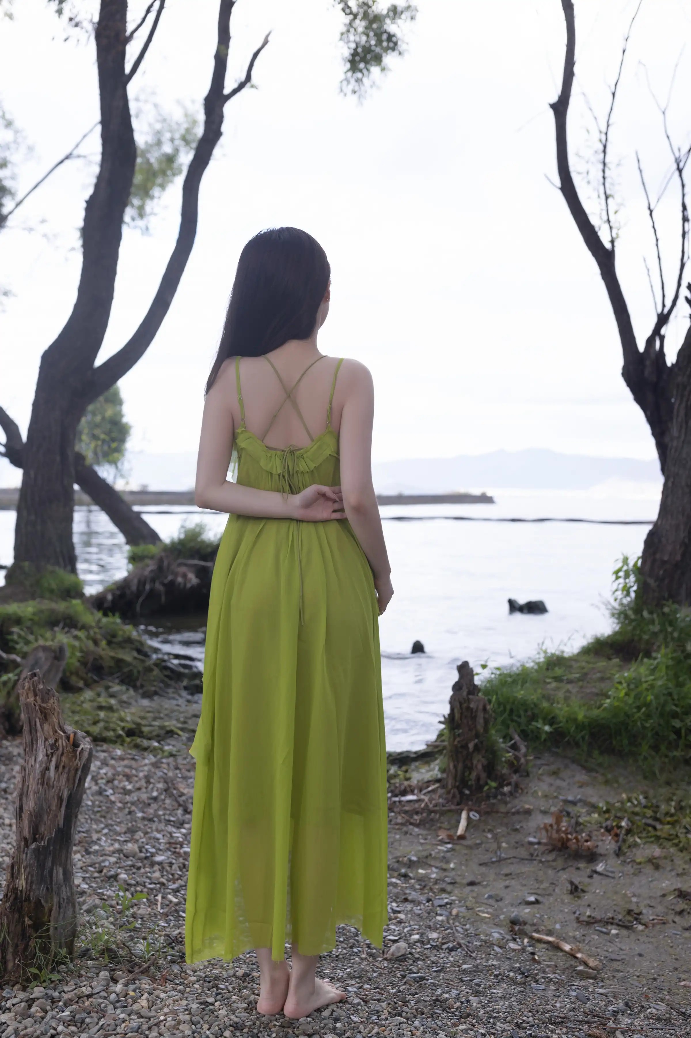 Lý Tiểu Phụng