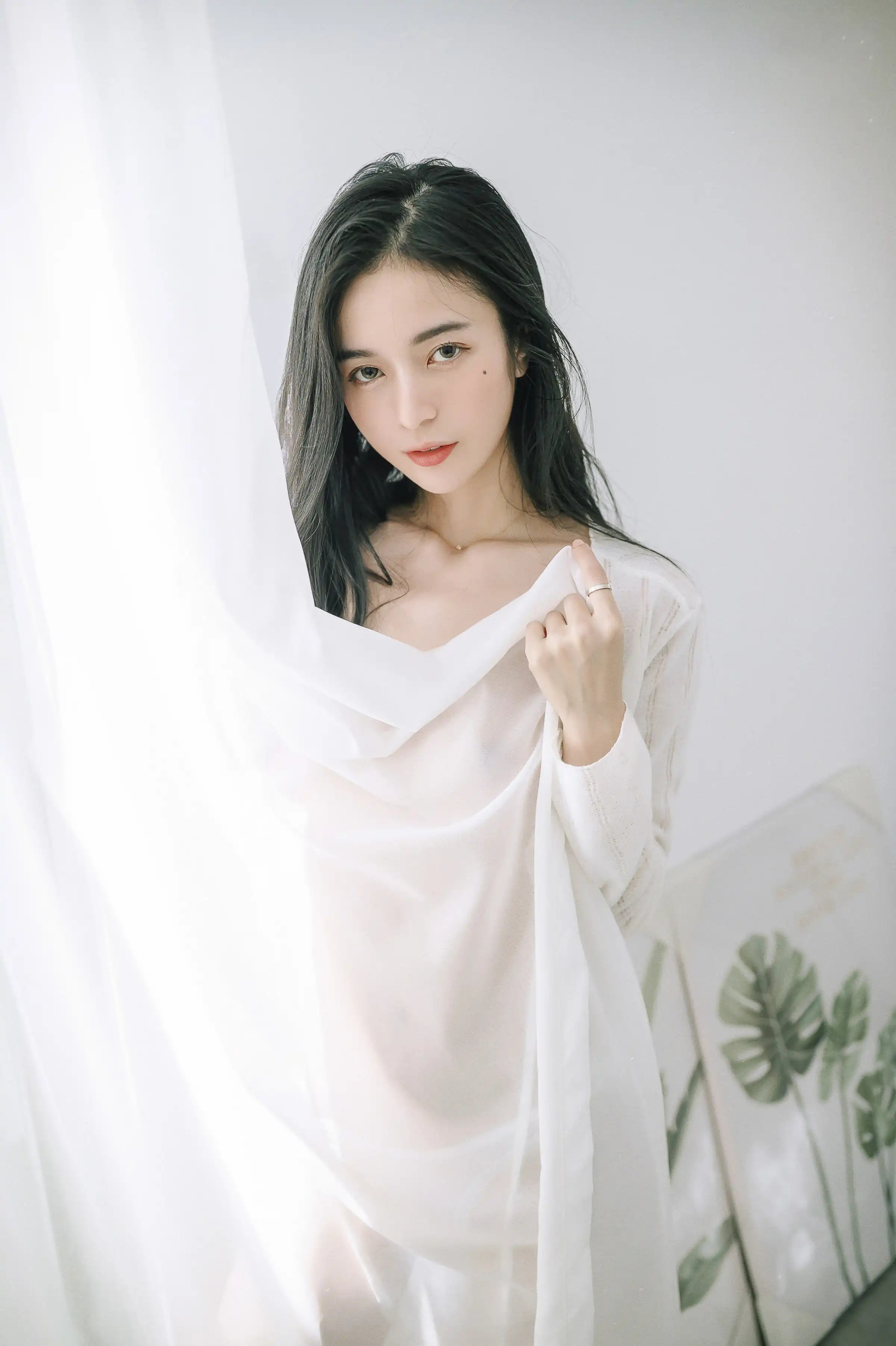 Tinh Nhật Lệ