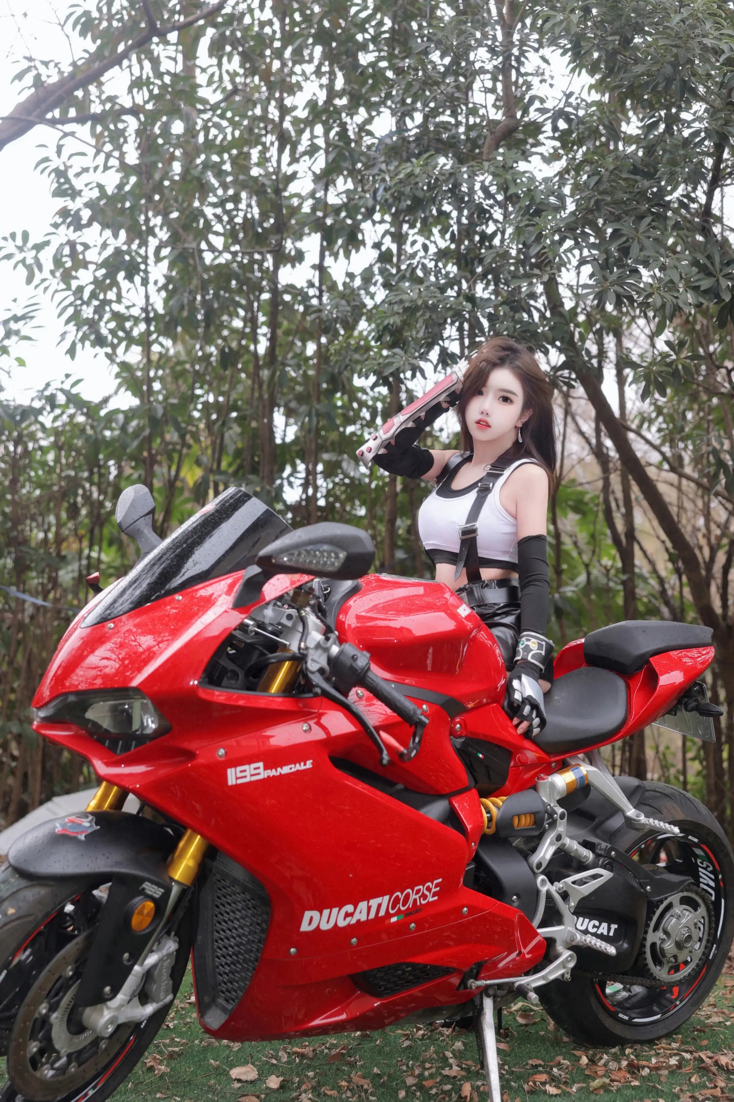 Tô Nguyệt Dung