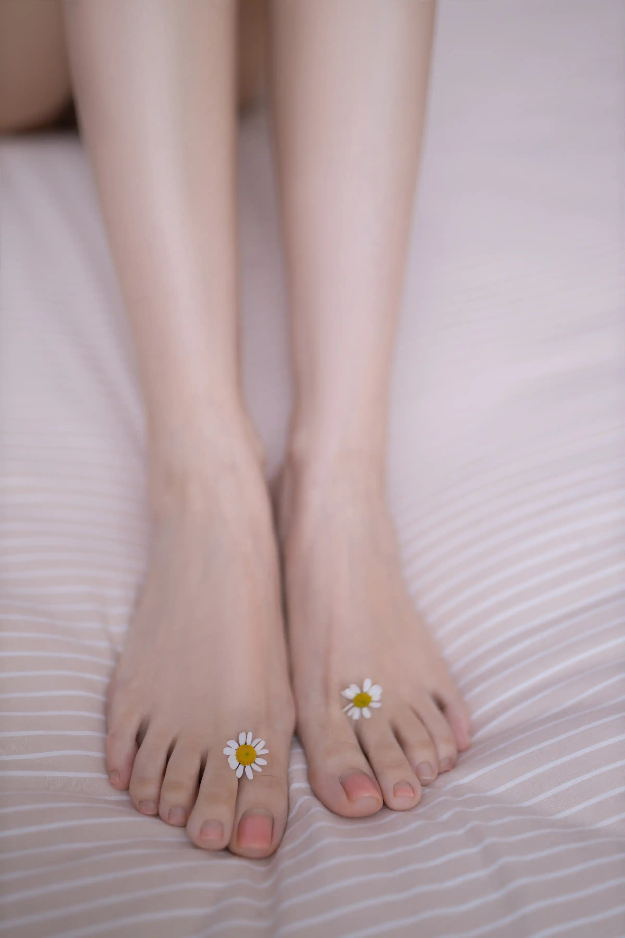 Tô Thẩm Lệ
