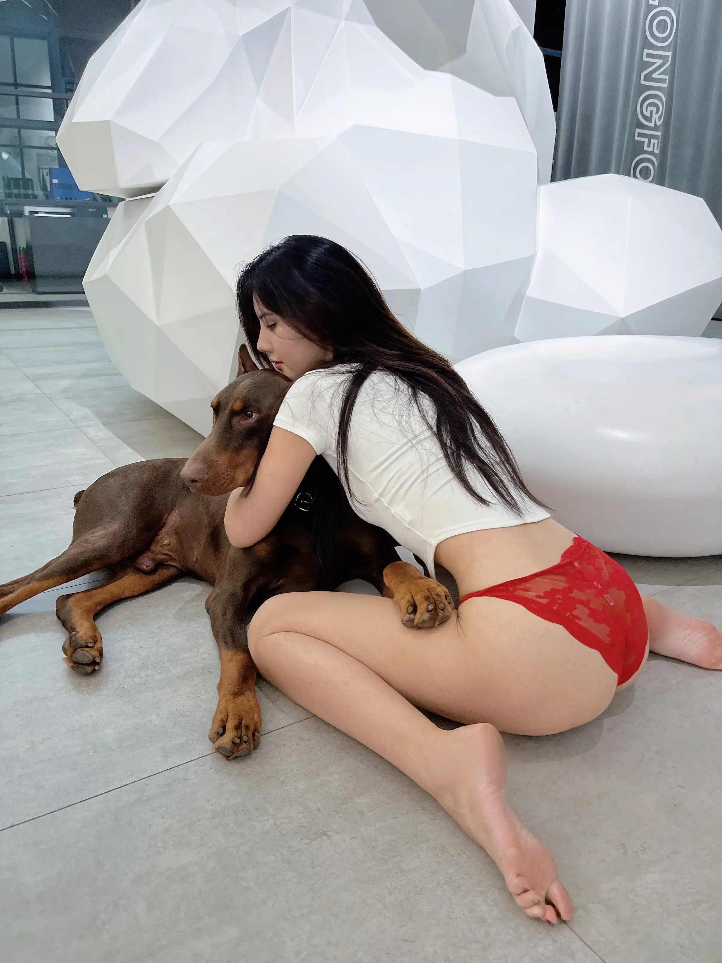 Trương Vân Tình